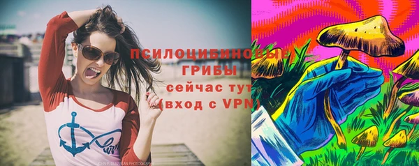 стаф Алексеевка