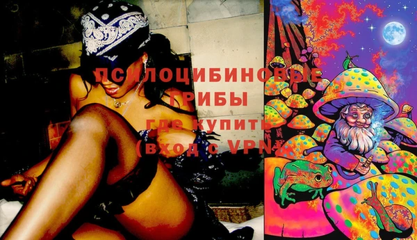 стаф Алексеевка