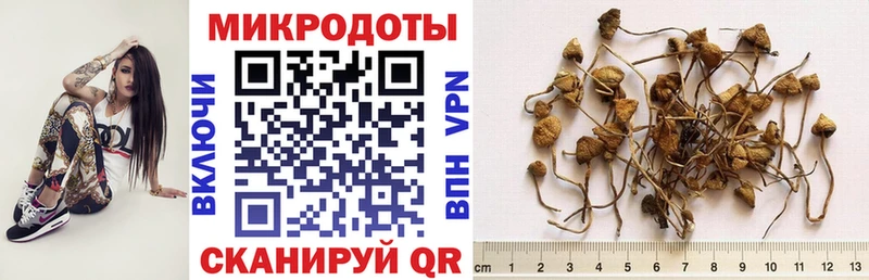Псилоцибиновые грибы Cubensis  Куса 